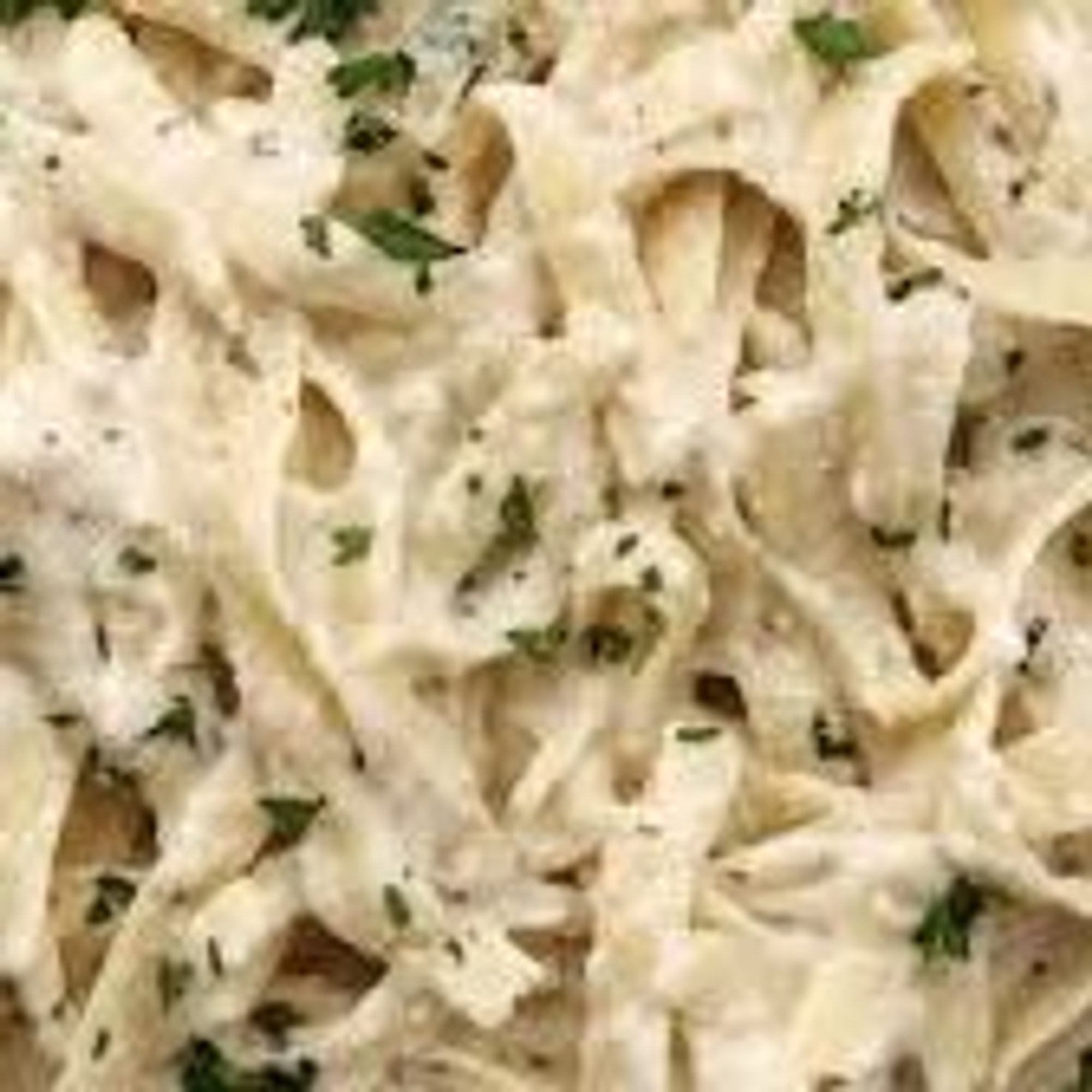 Fettuccini Alfredo