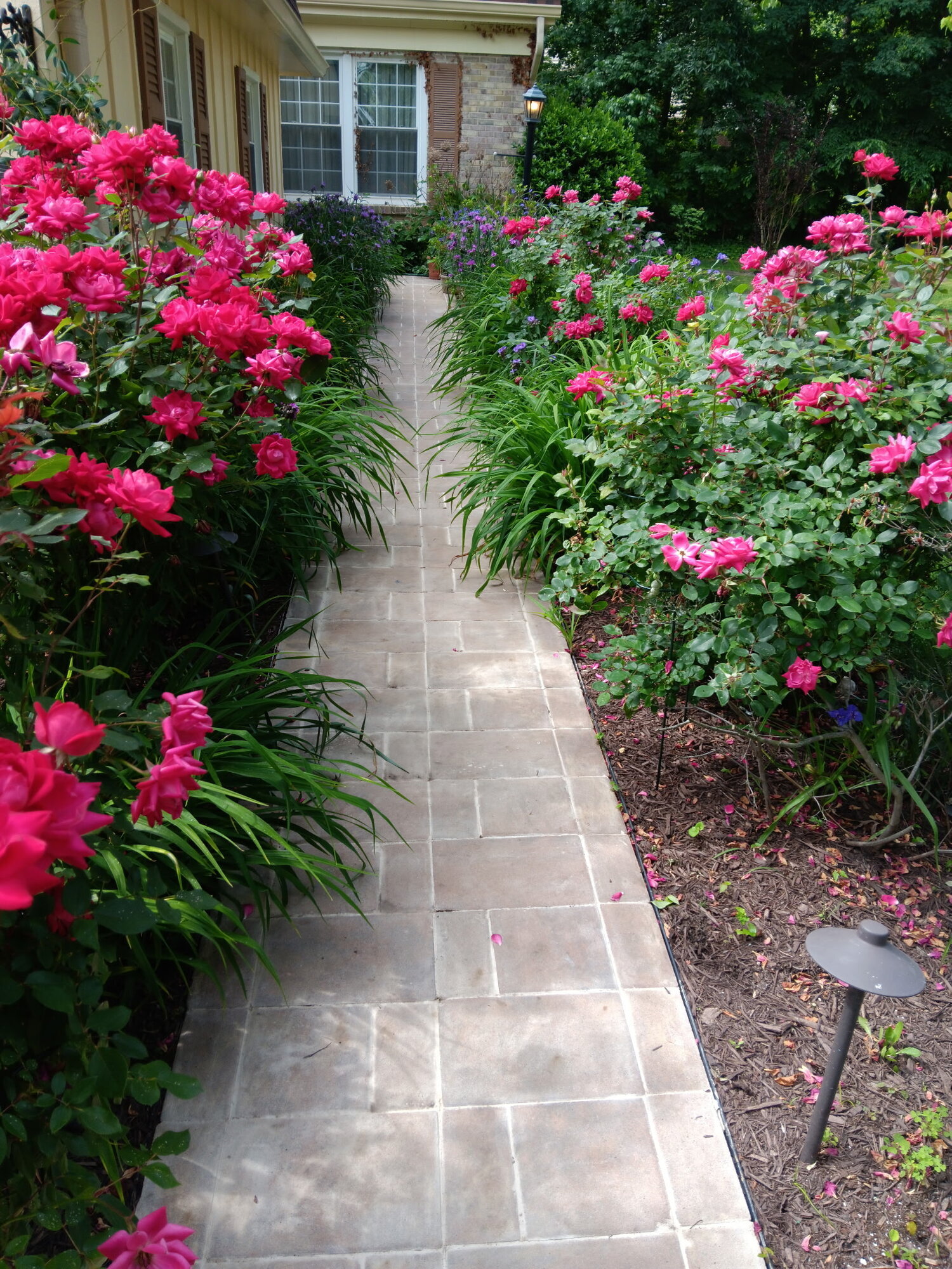 Barrys carpentry Image