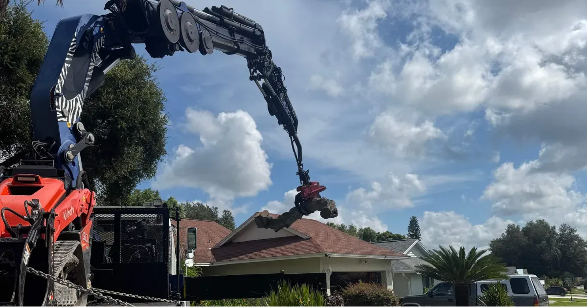 My Florida Tree Guys Image