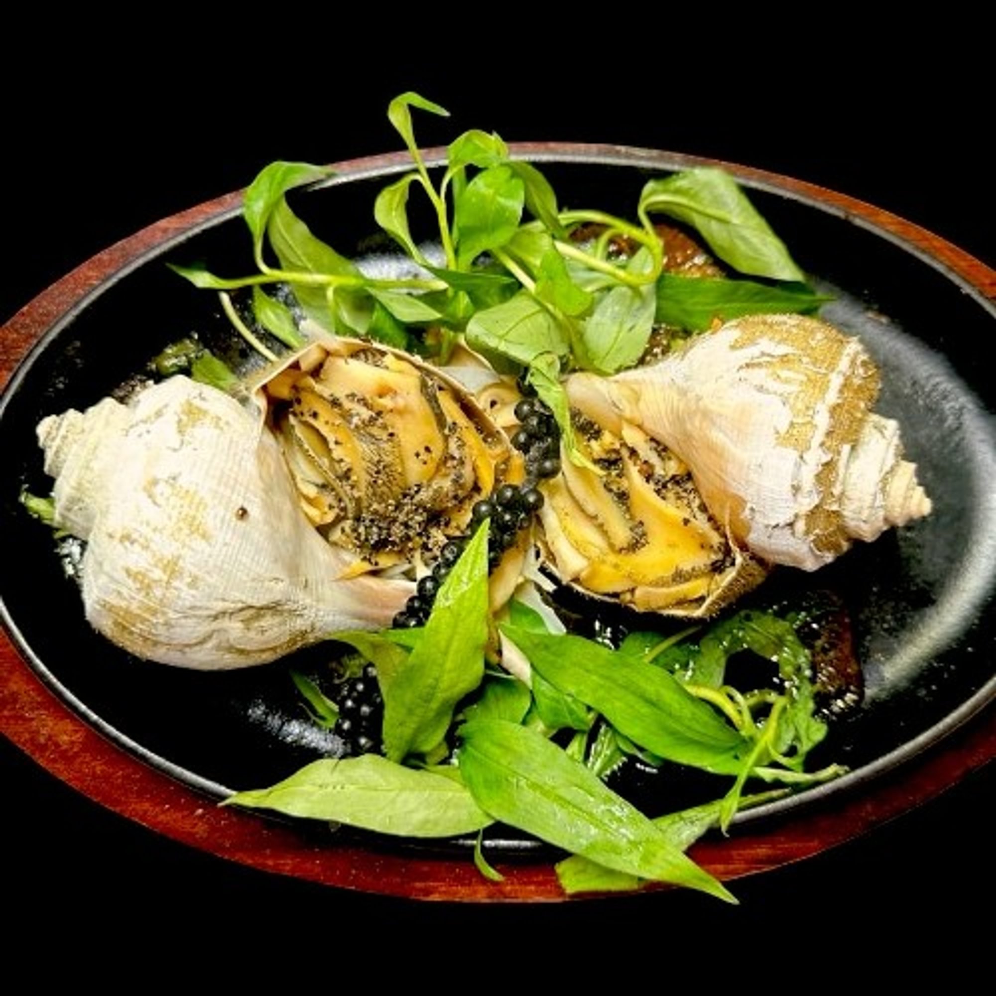 Conch / Ốc Giác