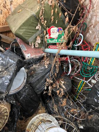 Images G3 Junk Removal
