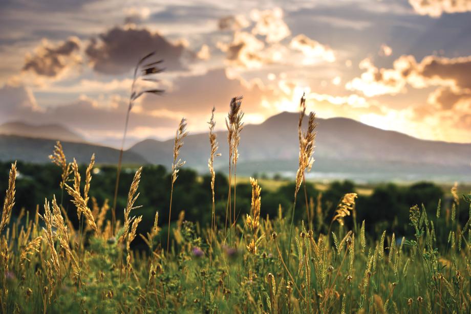 42 acres of open space and neighborhood parks