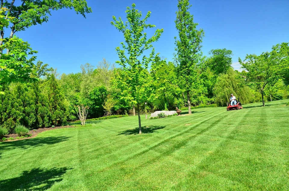 Turbos Moving Hauling &amp; Lawn LLC Logo