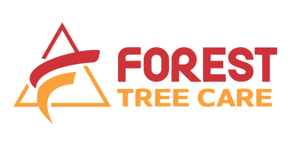 Forest Tree Care LLC Photo