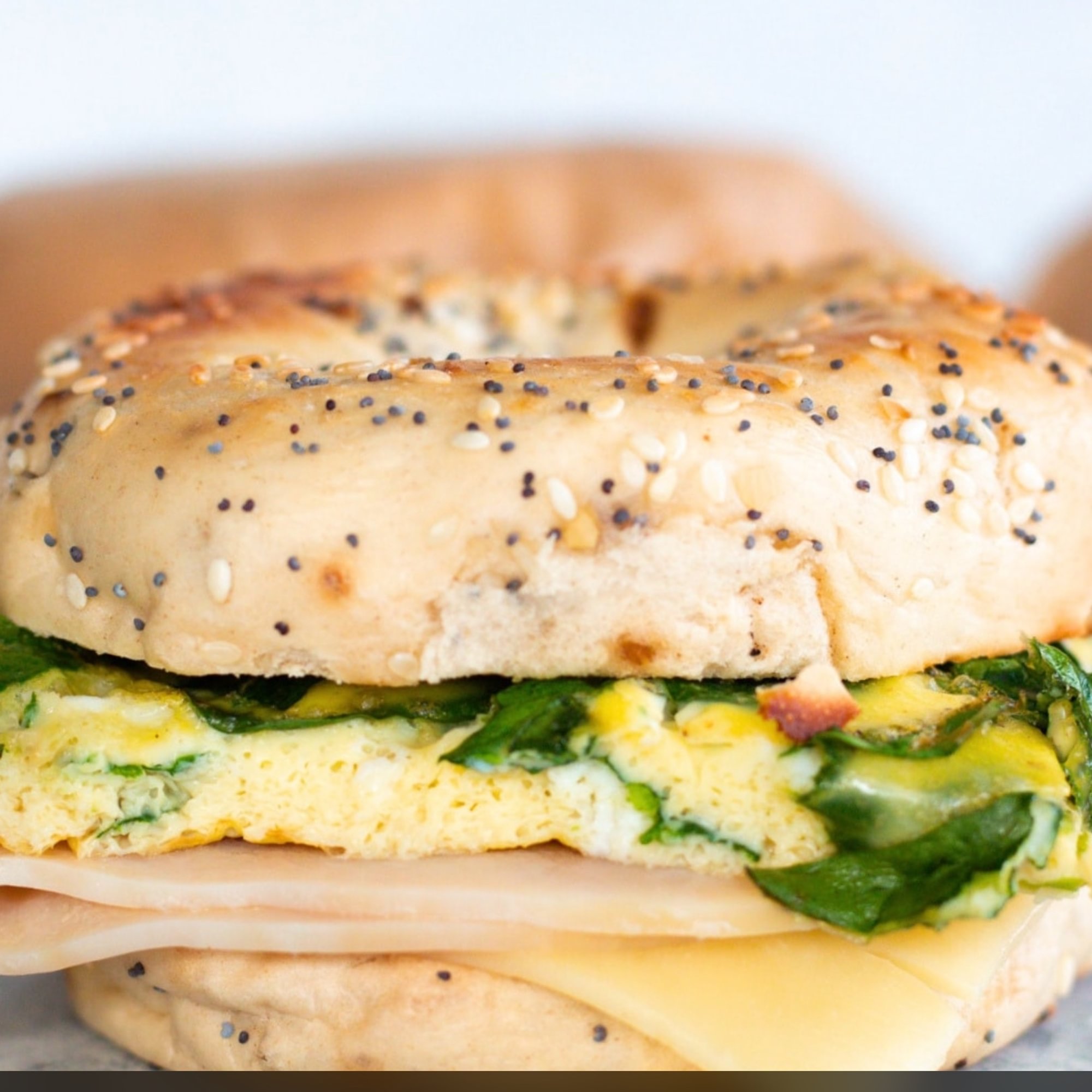 Egg n Cheese Bagel
