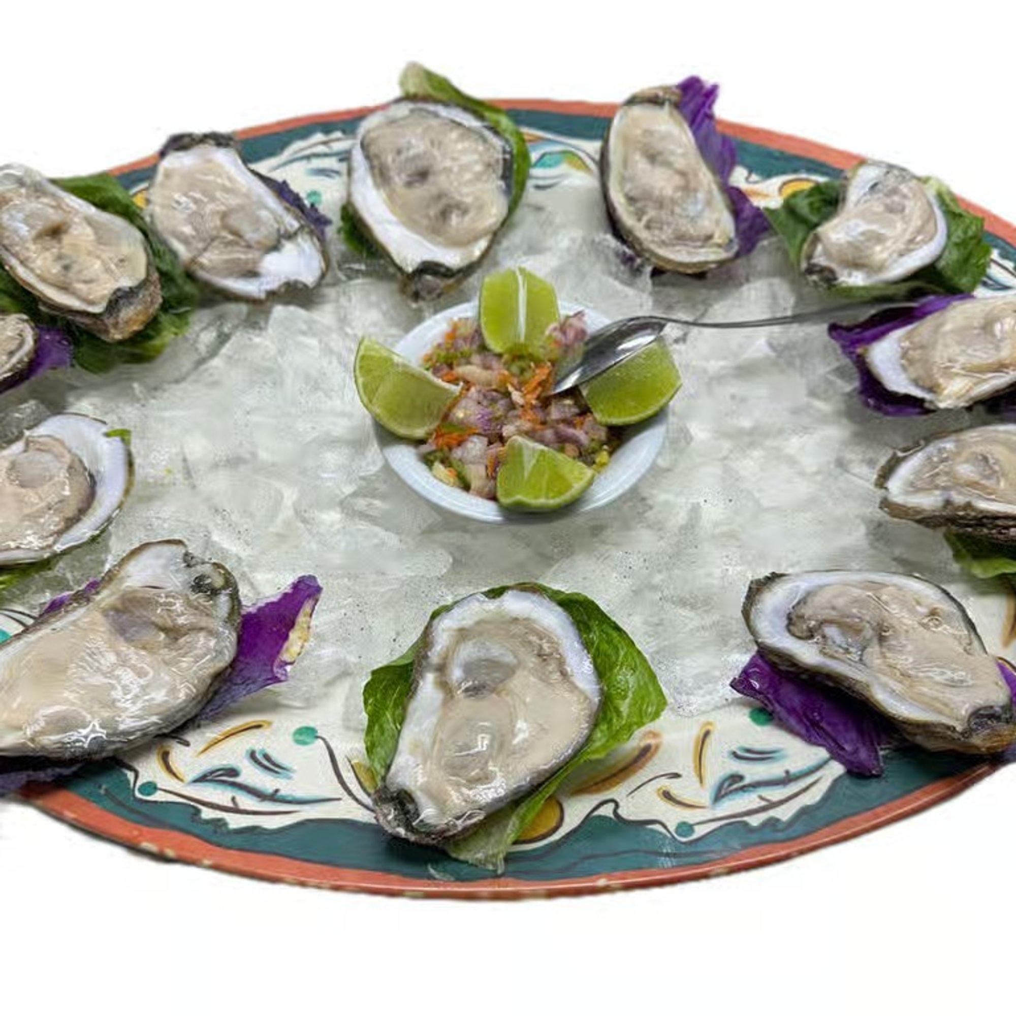 Oysters