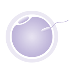 Center for Assisted Reproduction Photo
