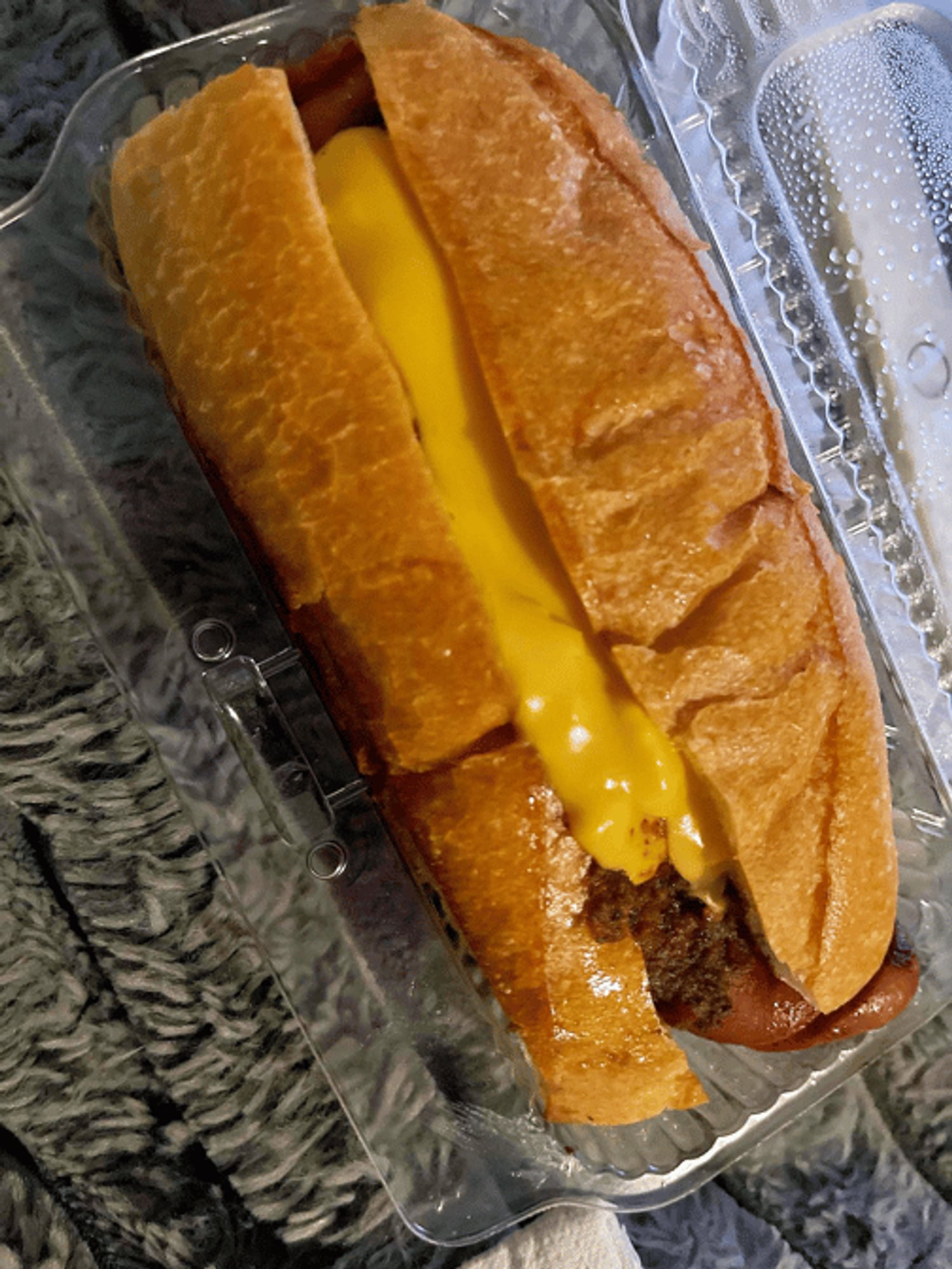 Chili Cheese Dog