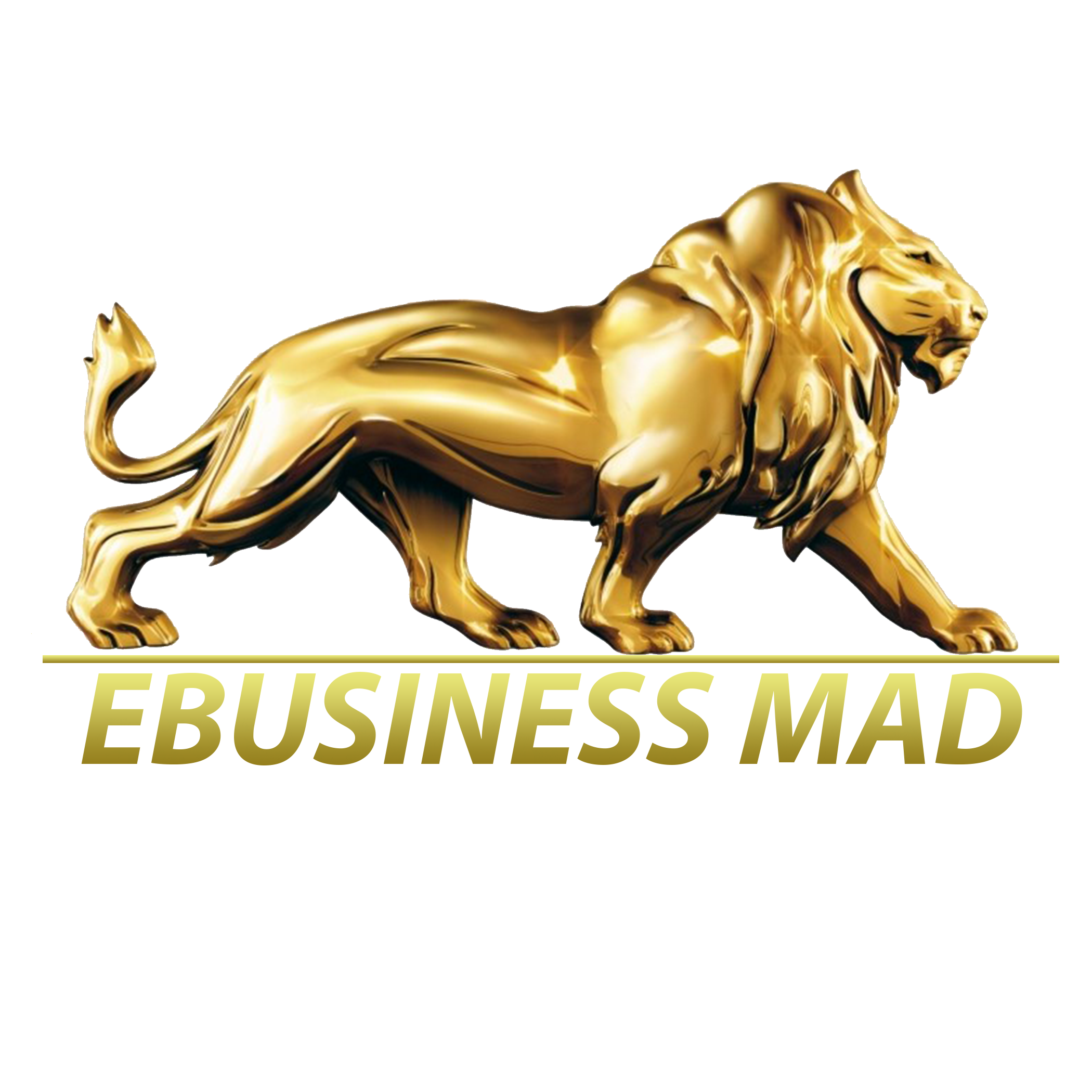 EBusiness Mad Logo