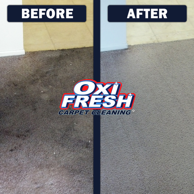 Images Oxi Fresh Carpet Cleaning