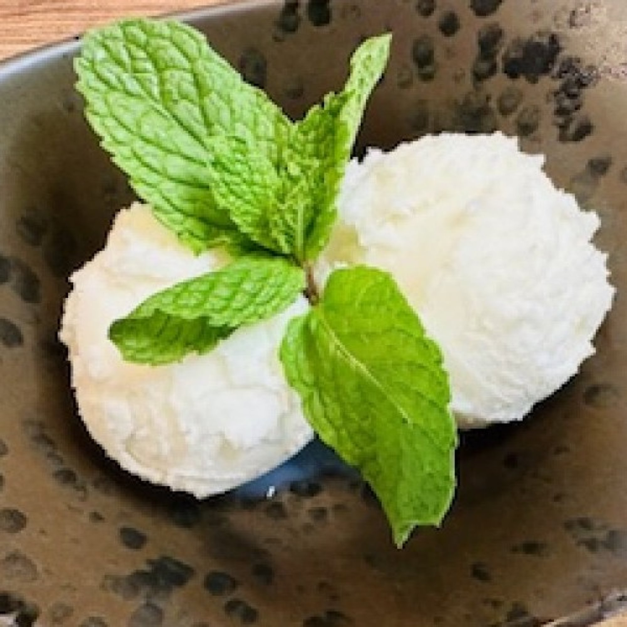Coconut ice cream (2 scoops)