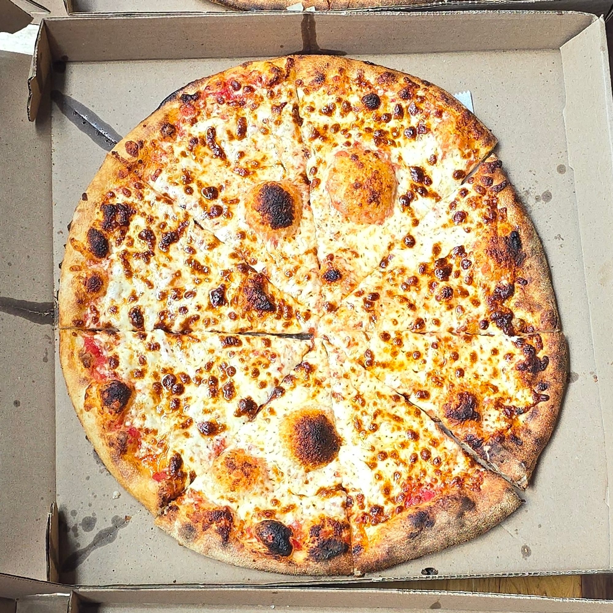 Plain Pizza (Large)