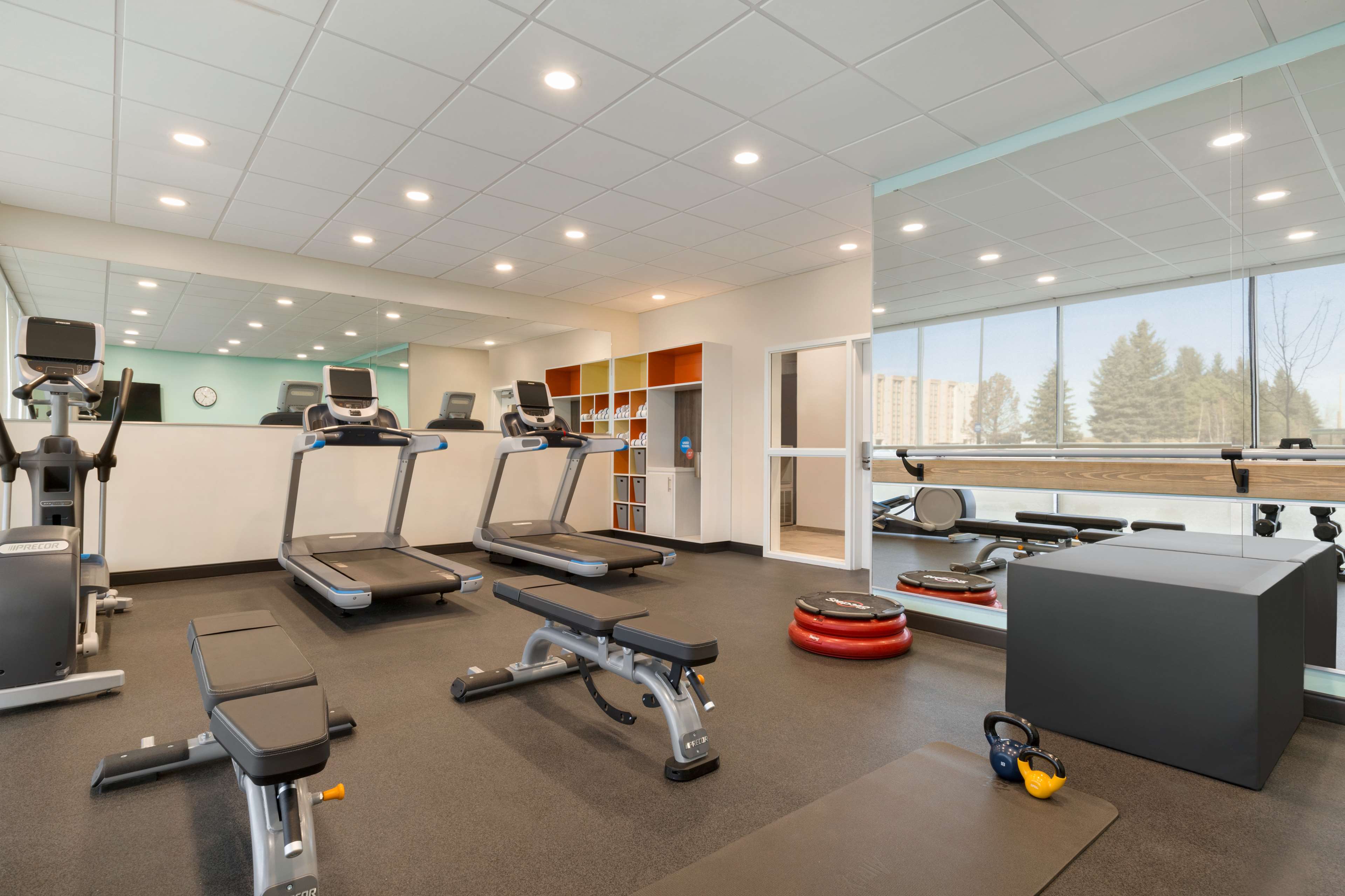 Health club  fitness center  gym