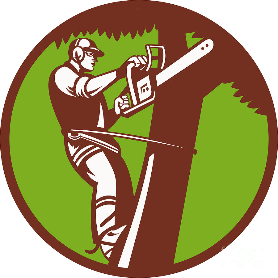 whitford&apos;s tree care Logo