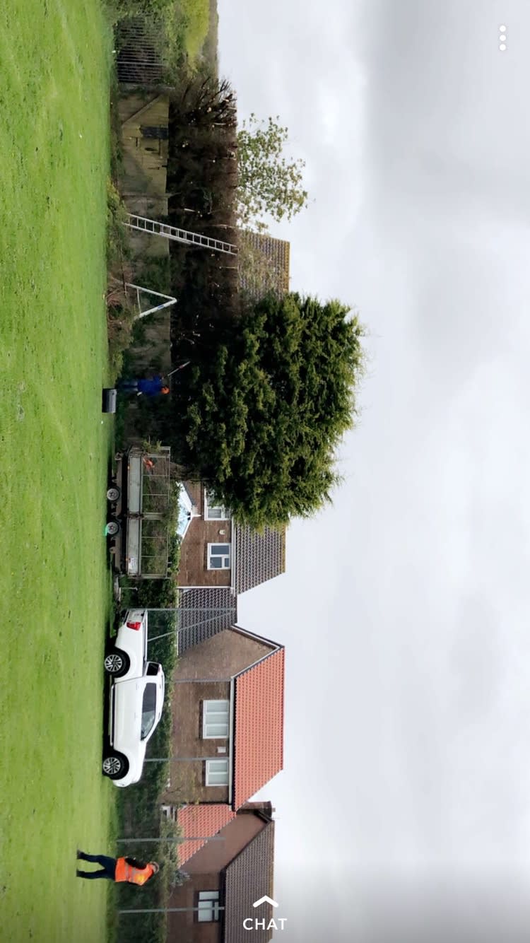 Images County Tree Services