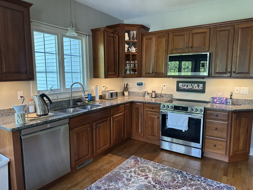 Santana Electric Image