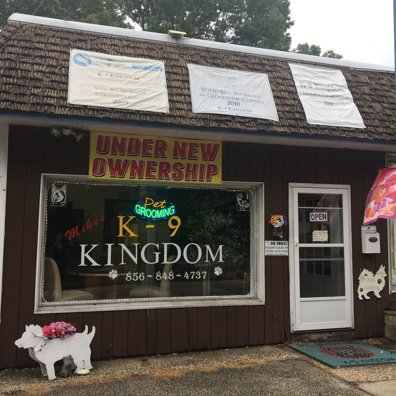 K-9 Kingdom Photo