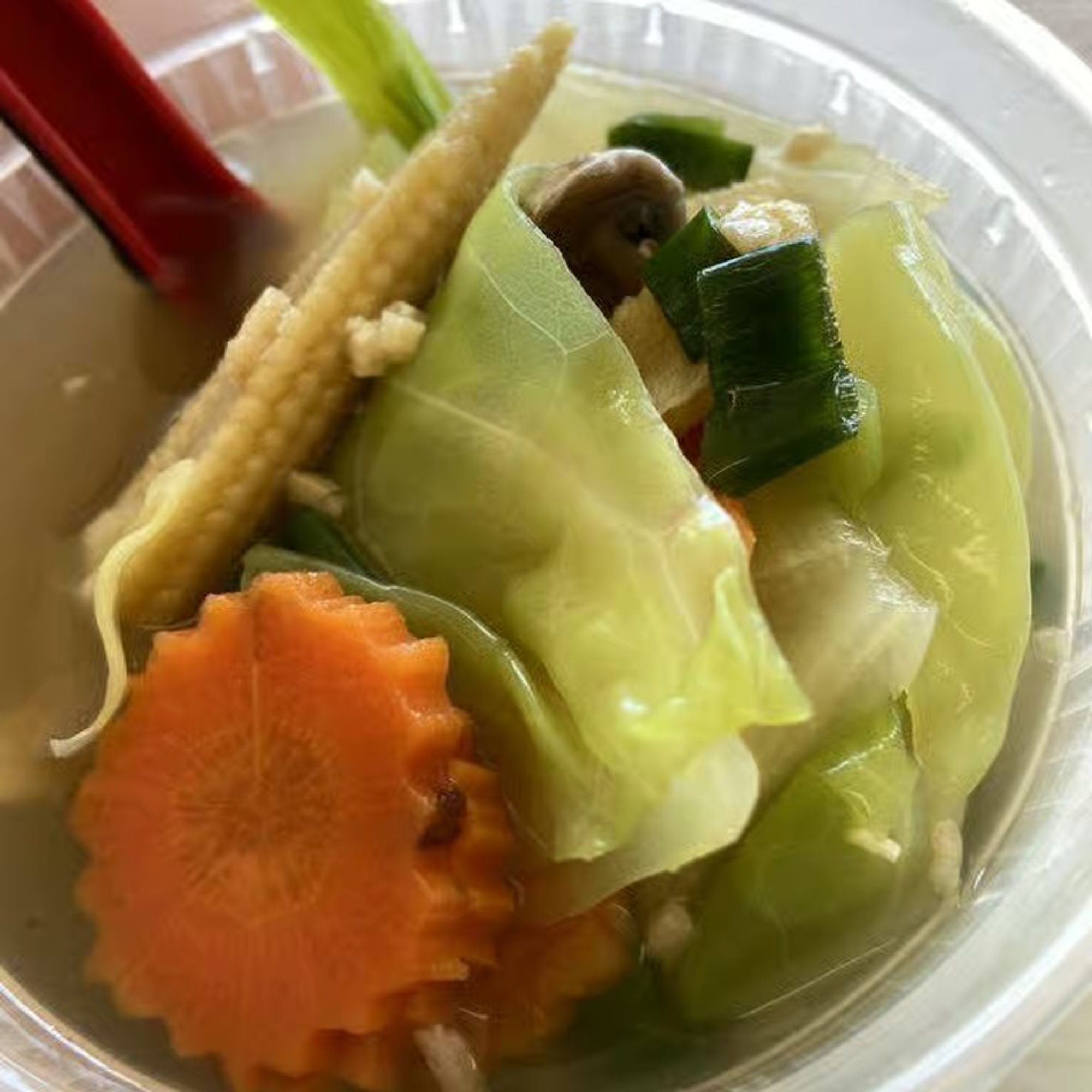 Vegetable Soup