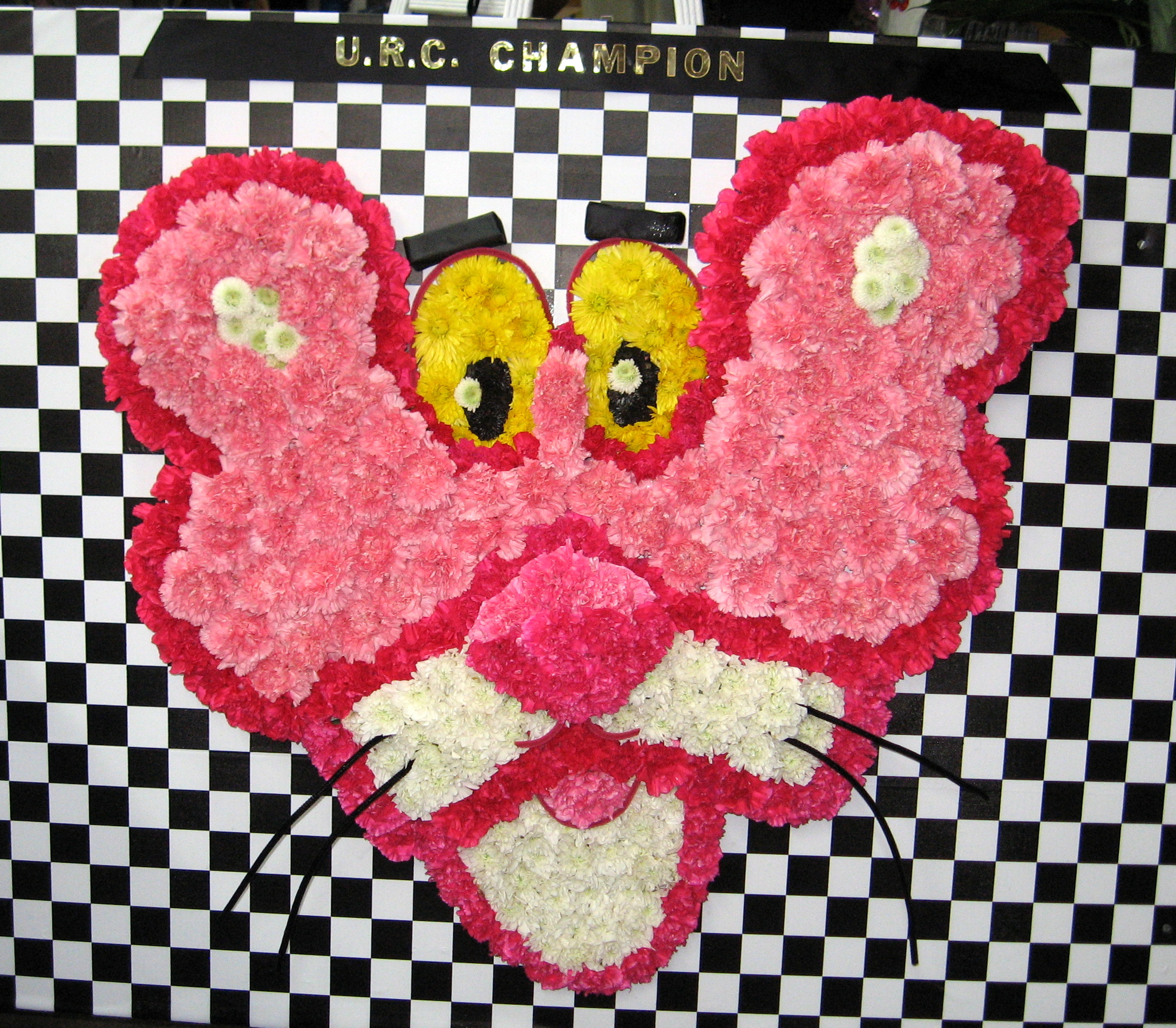 Pink Panther designed for URC driver Kramer Williamson.