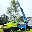 A Cut Above Tree Care, Inc.