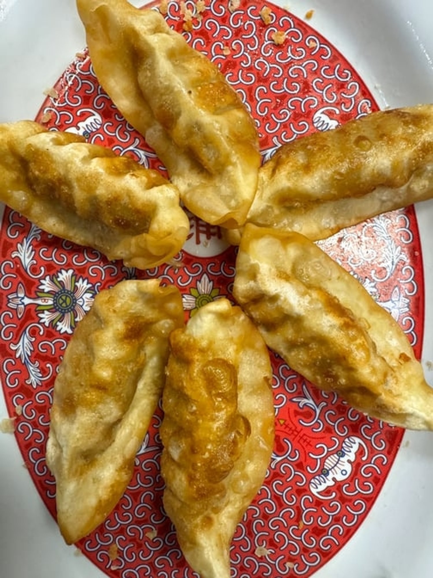 6 Pieces Pot Stickers