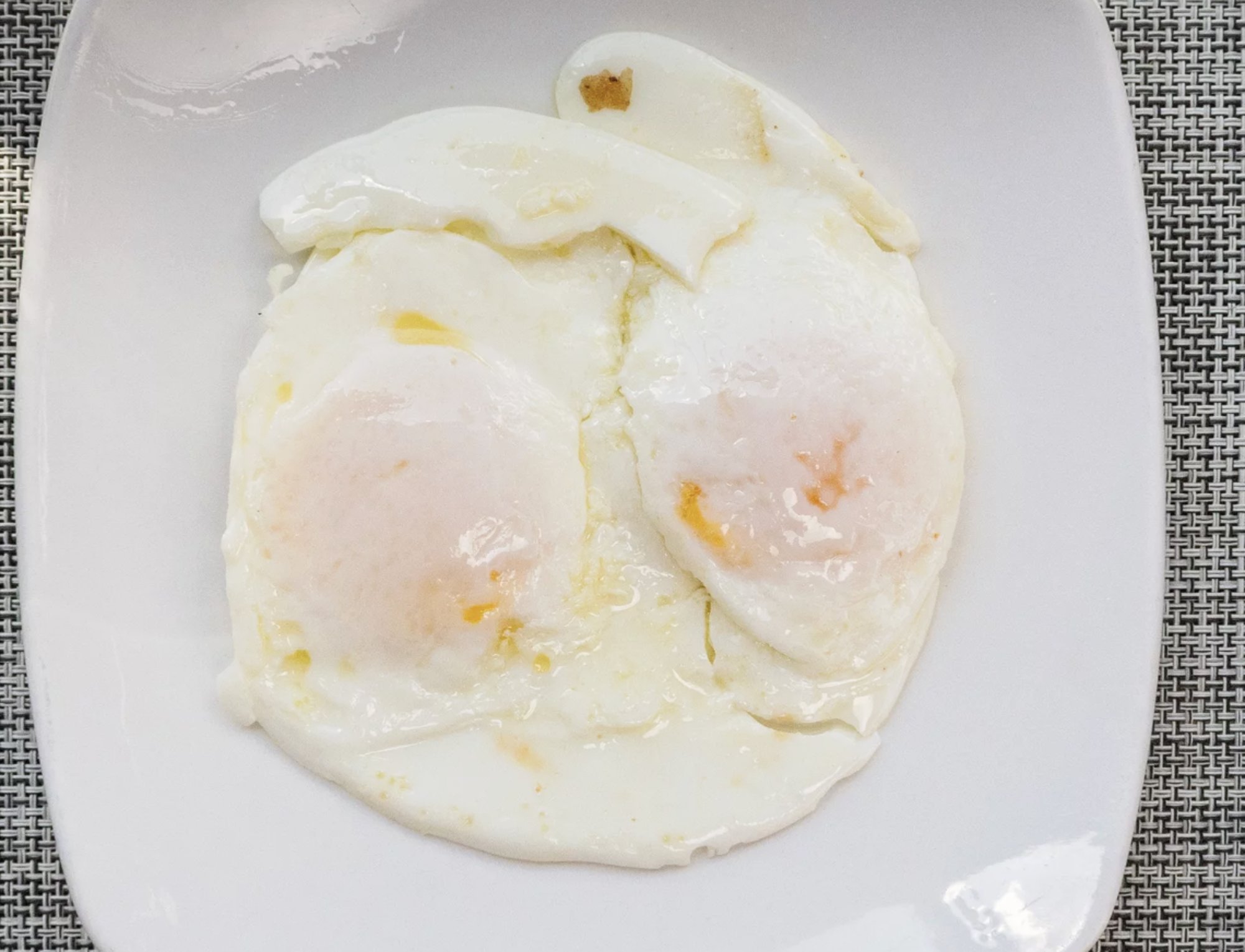 Fried Egg