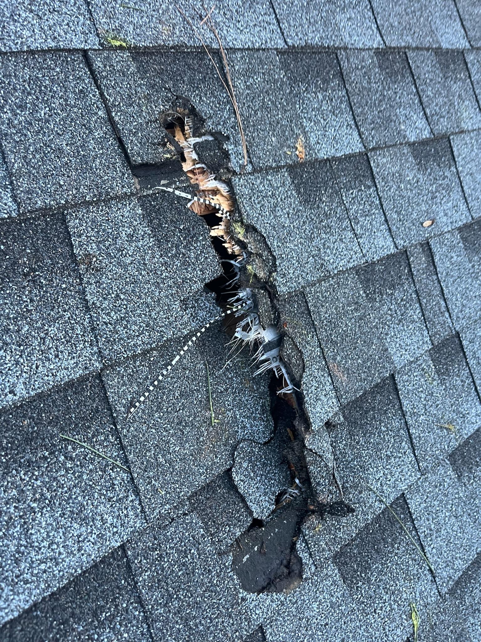 Timber Valley Tree Co. Image