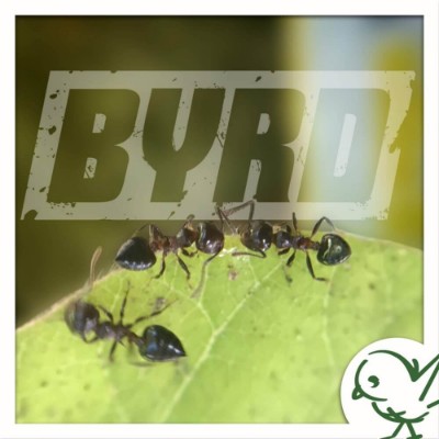 Byrd Pest Control Photo