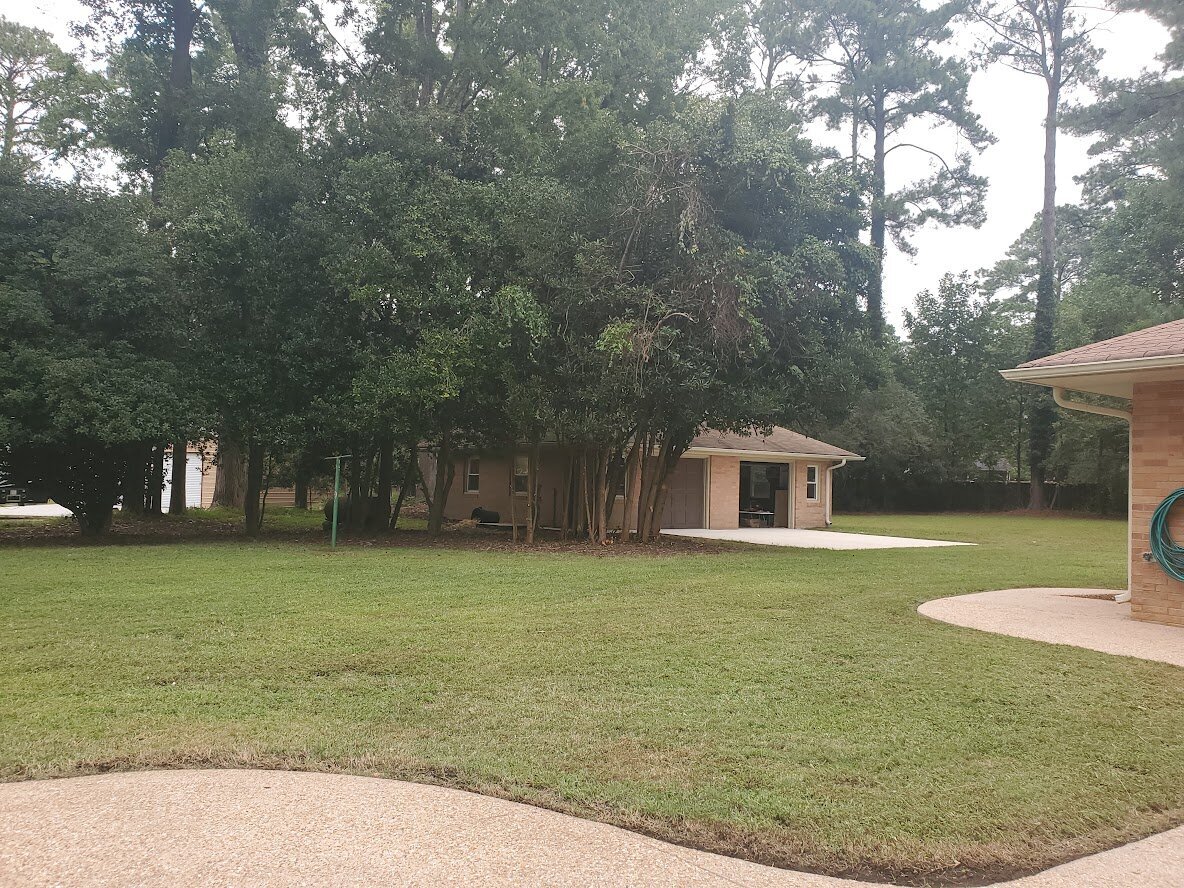 salt air lawn care Image