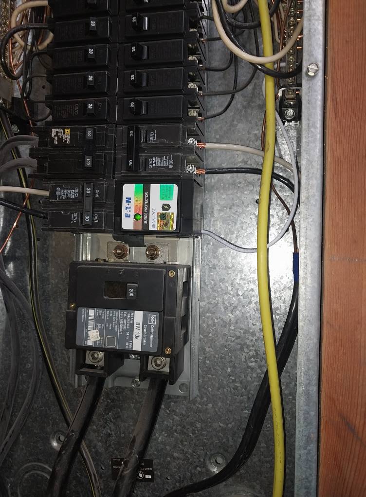 Ollie's Electric Image