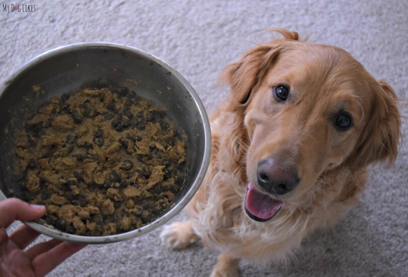 Primal Pet Foods