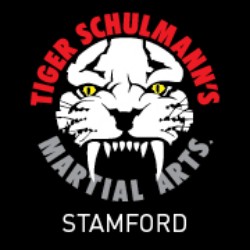 Tiger Schulmann's Martial Arts (Stamford, CT) Photo