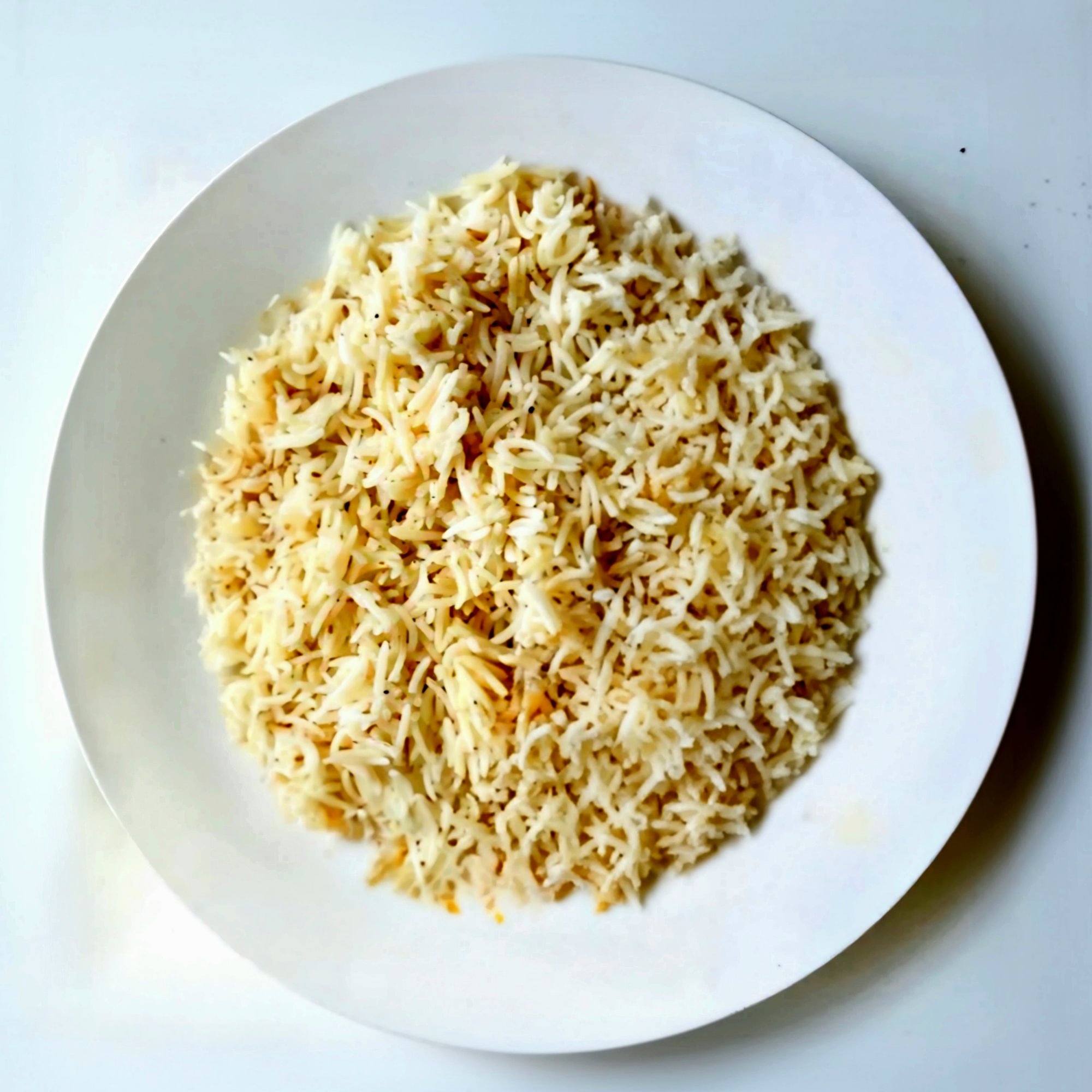 Arroz/Rice