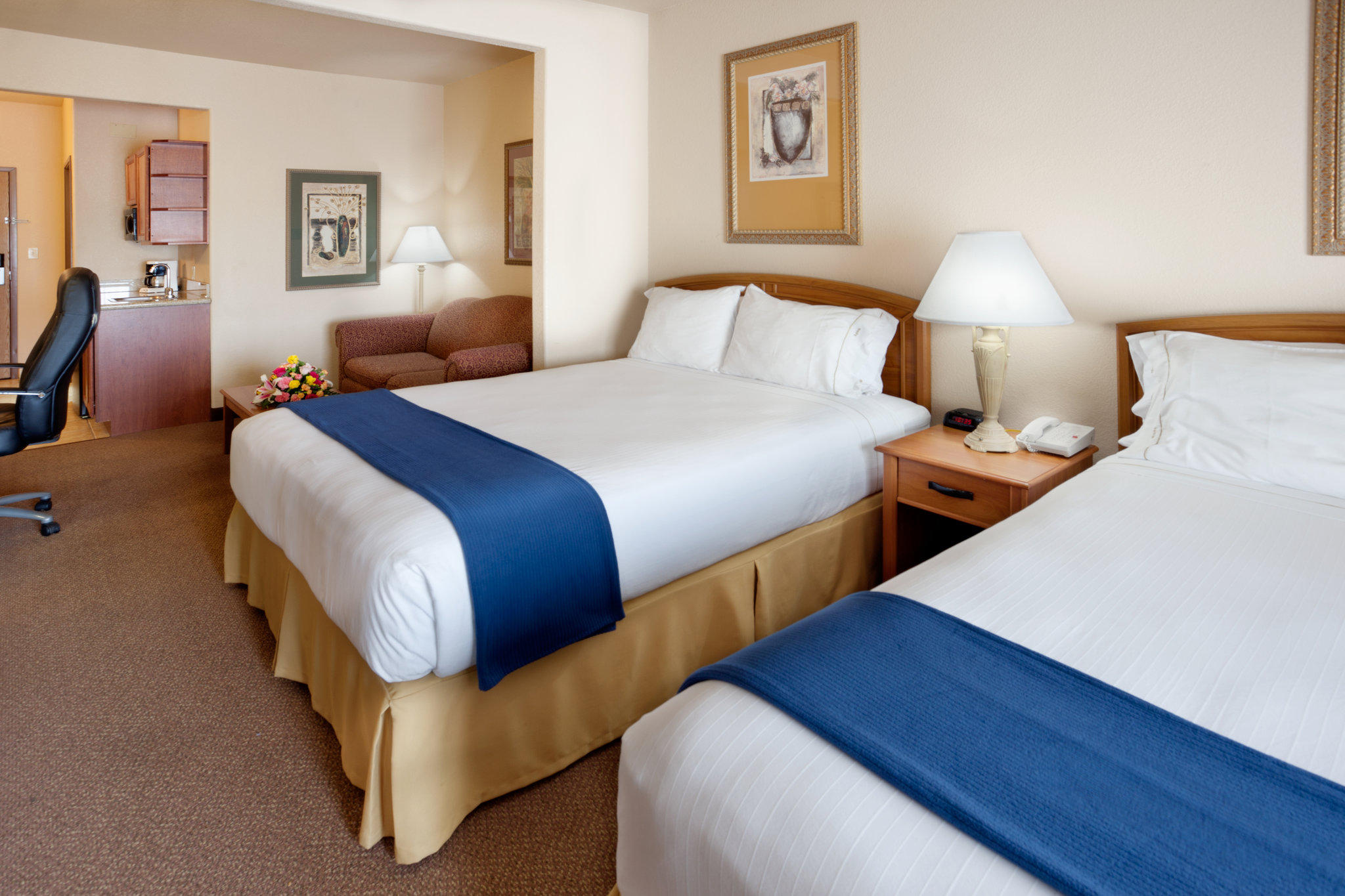 Holiday Inn Express & Suites Mission-McAllen Area Photo