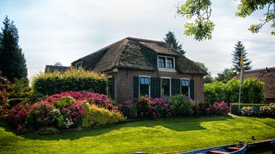 DRLS David Ray Service Logo