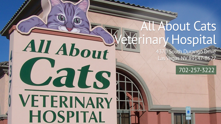 All About Cats Veterinary Hospital Photo