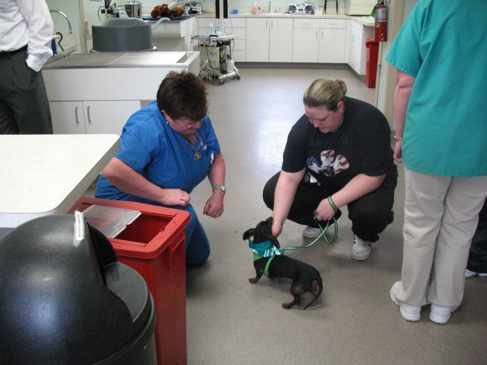 VCA Neshaminy Animal Hospital Photo