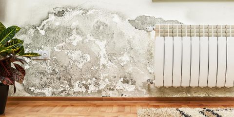 3 Qualities to Look for in a Water Damage Restoration Company