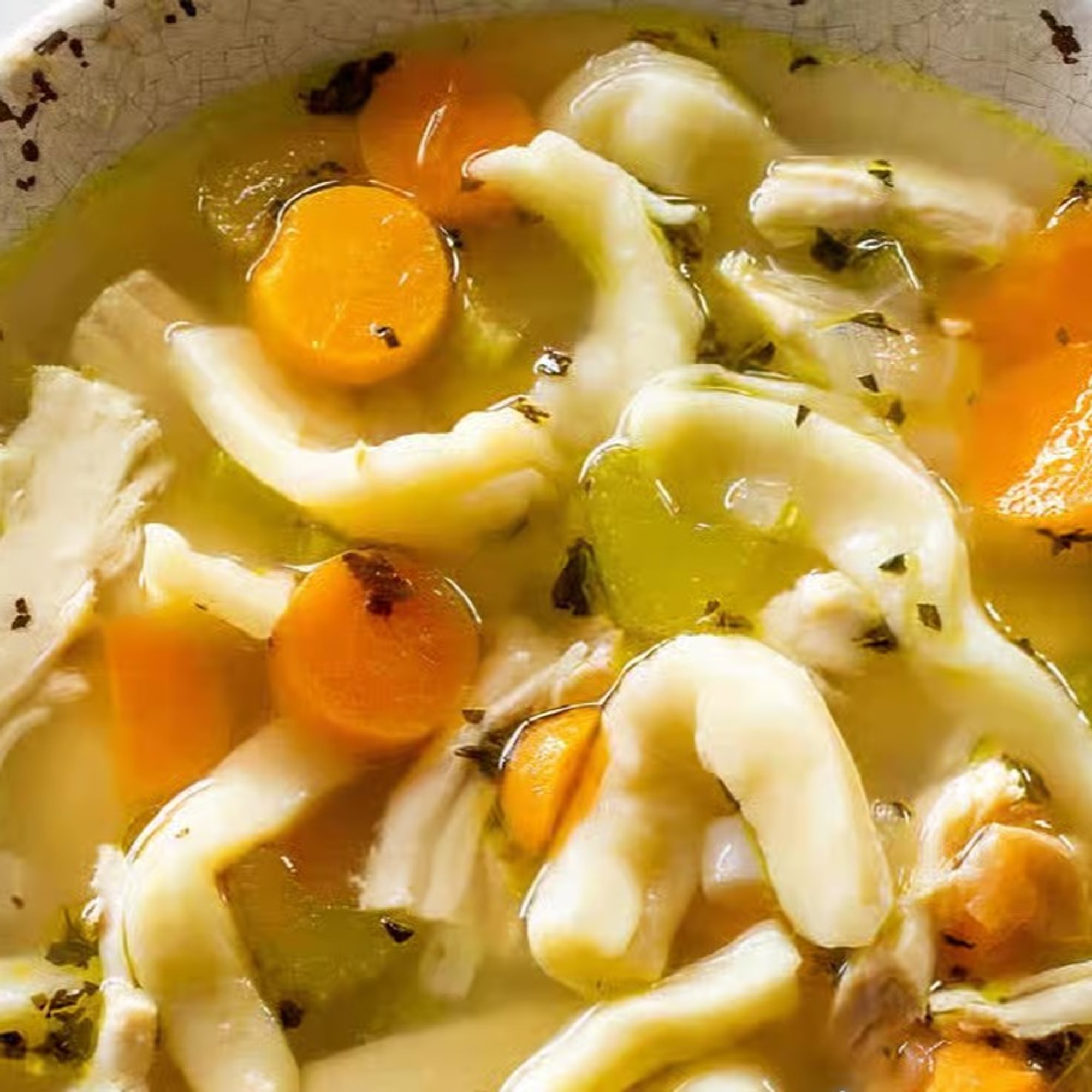 Soup of the Day