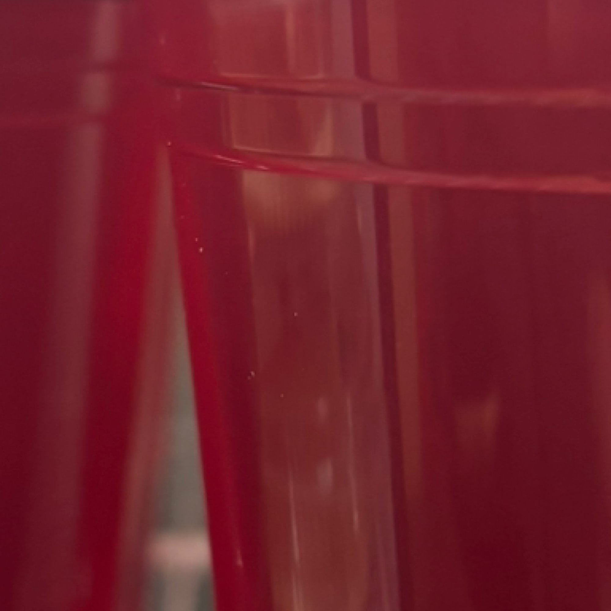 Agua de Jamaica