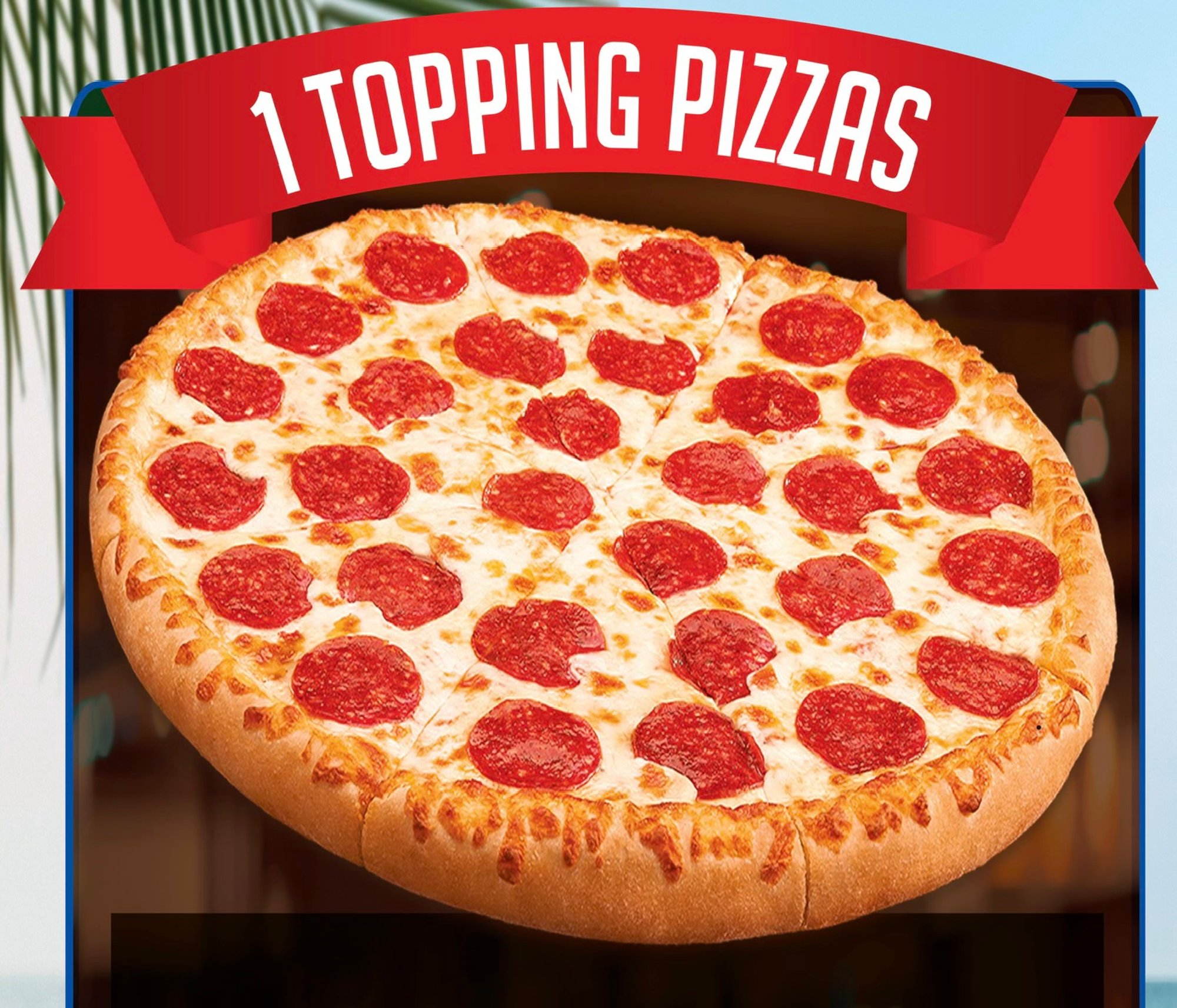 1 Topping Pizza Special