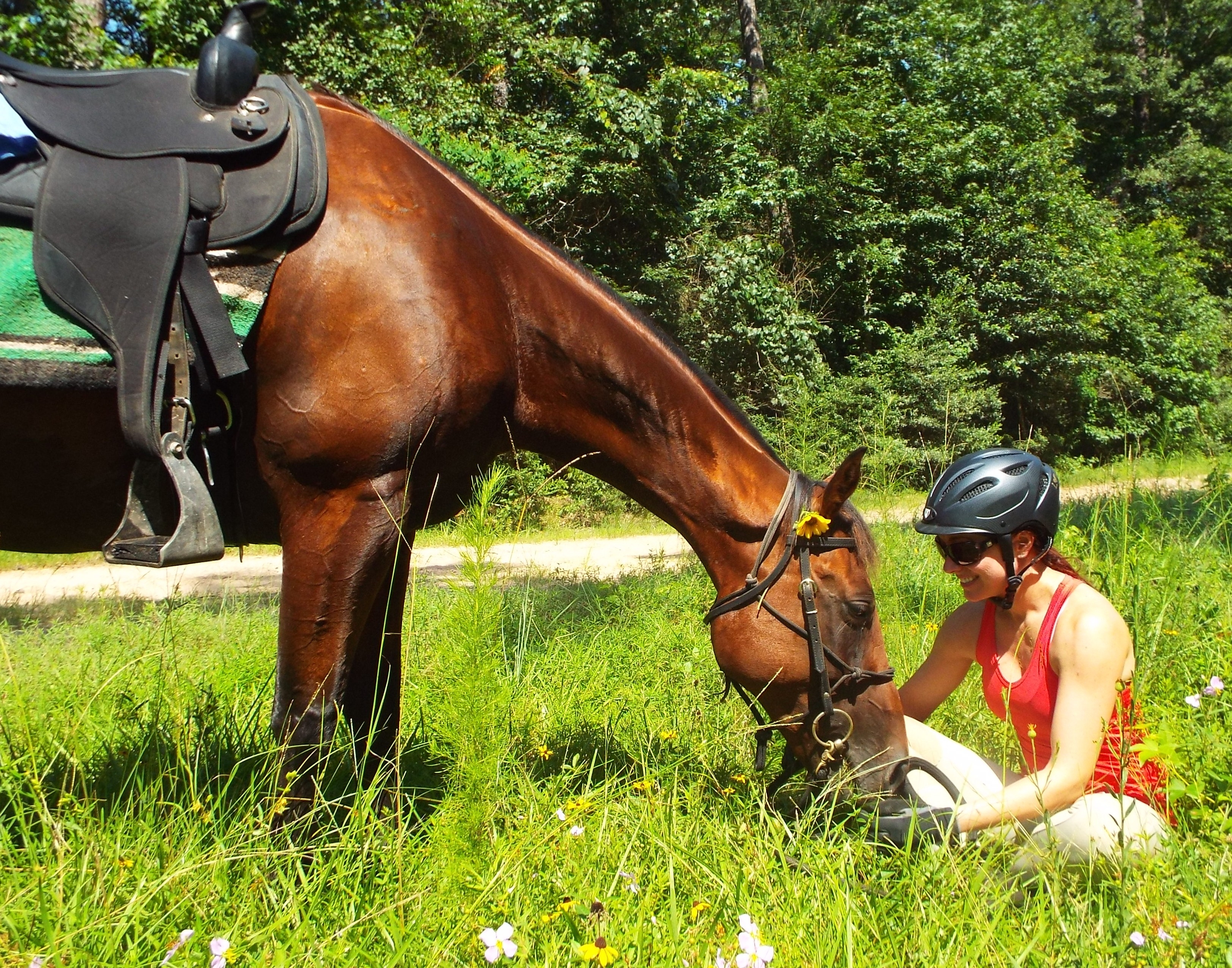 Horse coupons