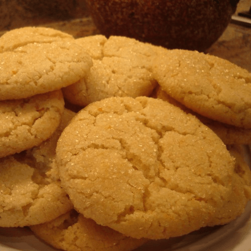 Sugar Cookie