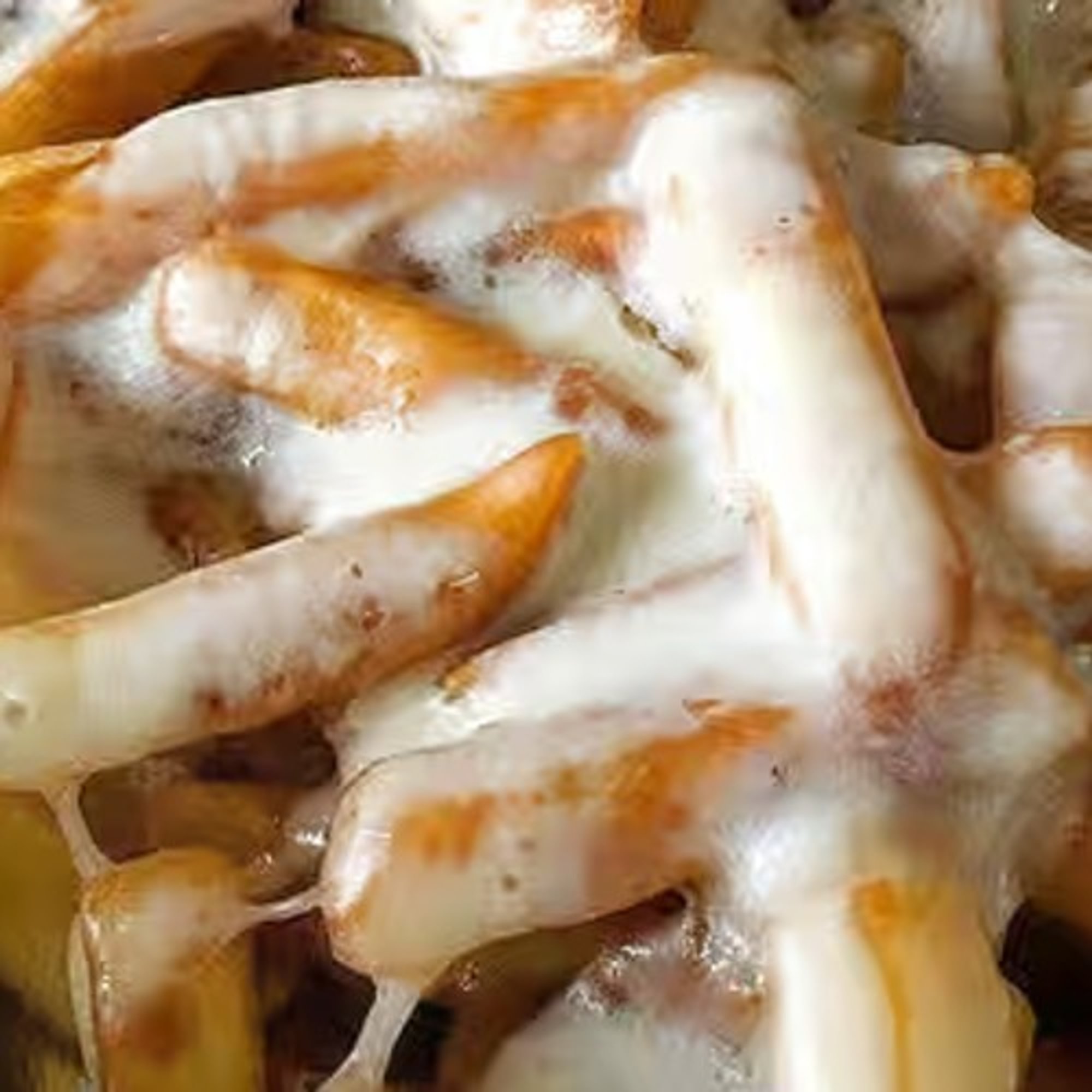 Cheese Fries