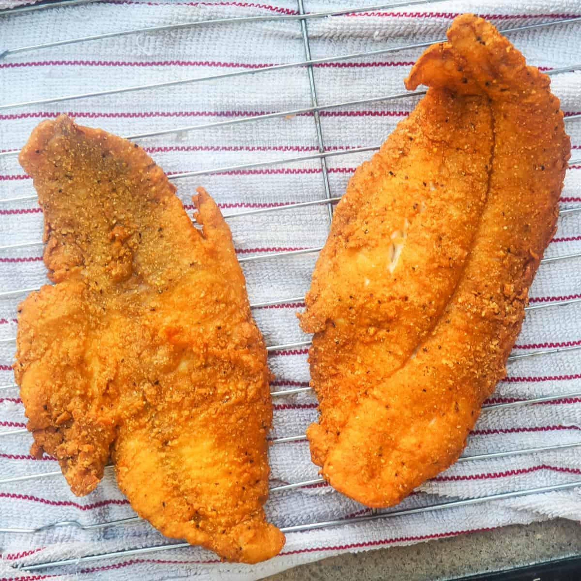 Southern Fried Chilean Whiting
