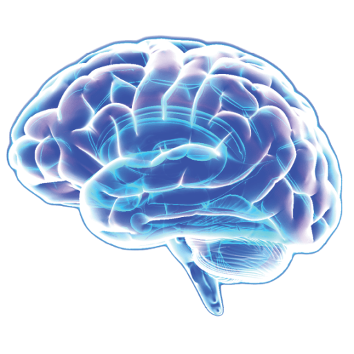 Hearing and Brain Centers of America- Austin Tinnitus Relief