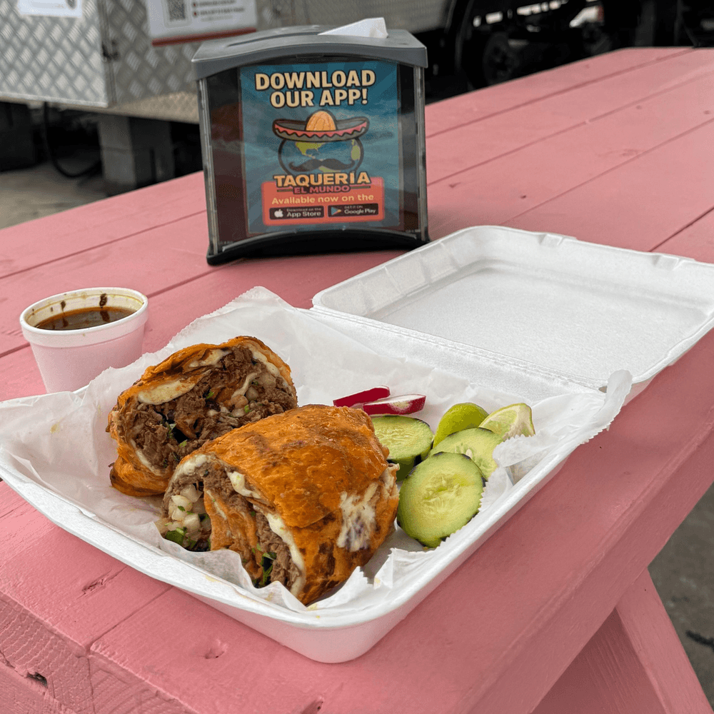 Birria Burrito