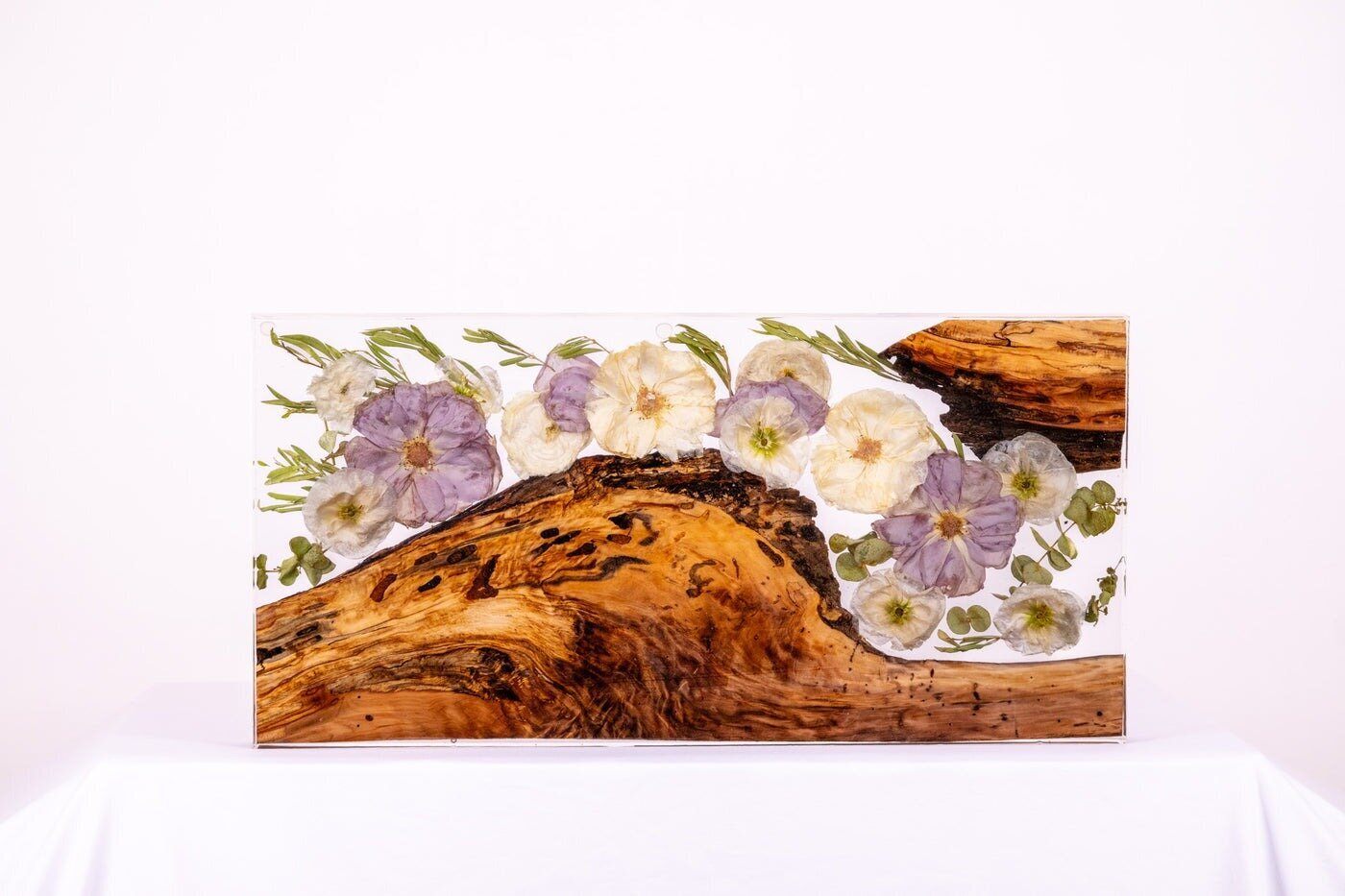 Wild Coast Flower Preservation Image