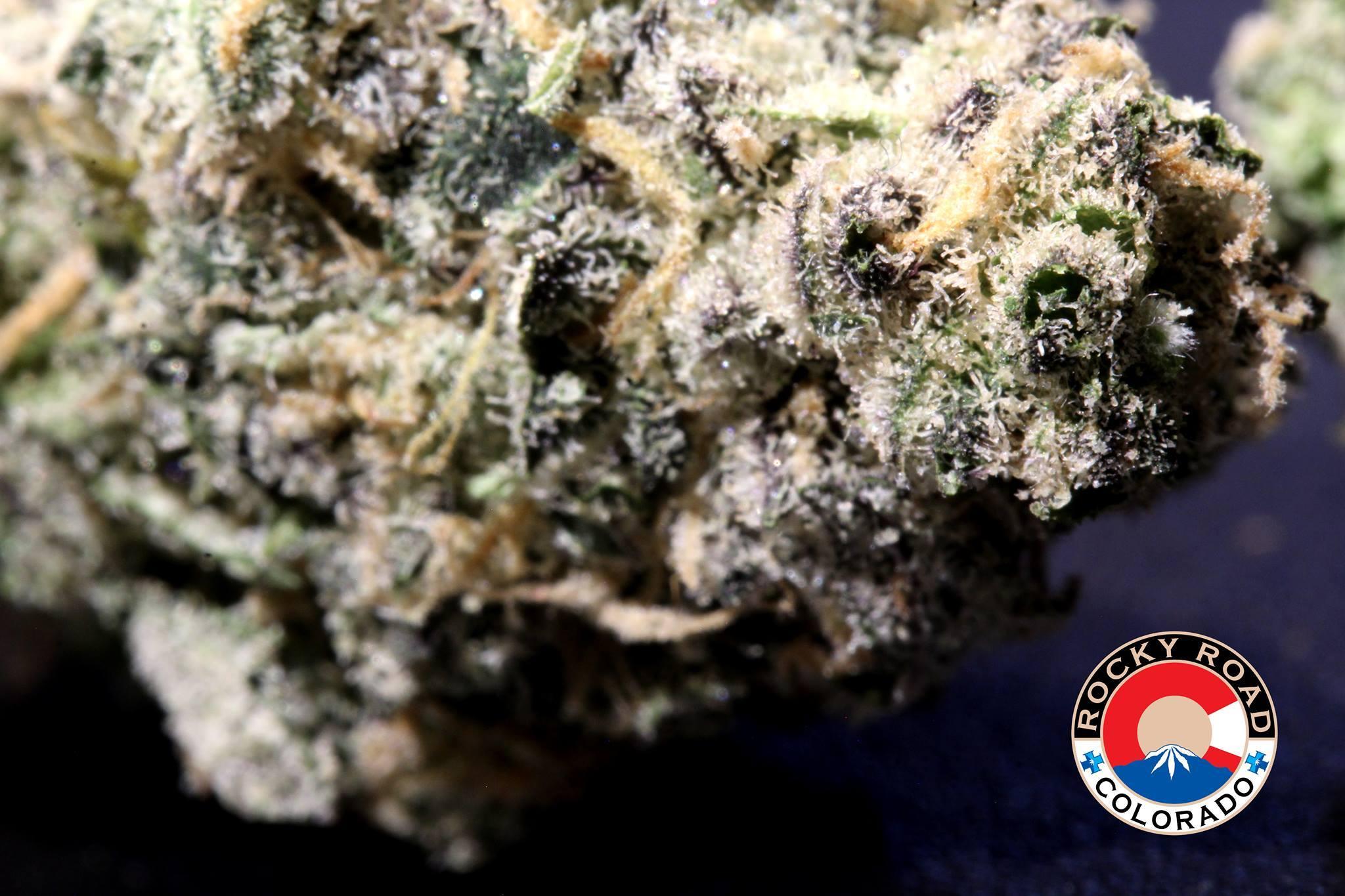 Rocky Road Thornton Marijuana Dispensary Image