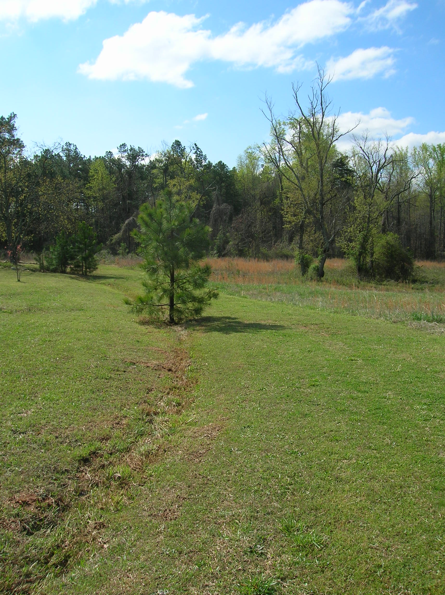 Spartanburg NE / Gaffney KOA Holiday Photo